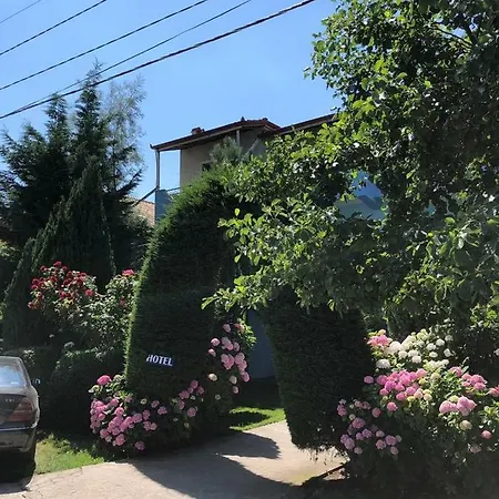 Deni Villa Tushemisht