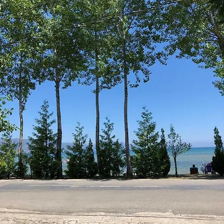 Deni Villa Tushemisht