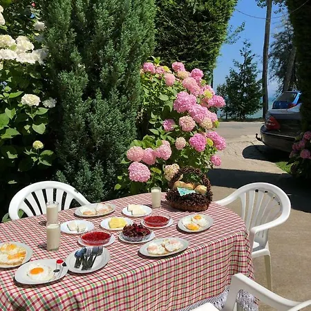 Deni Villa