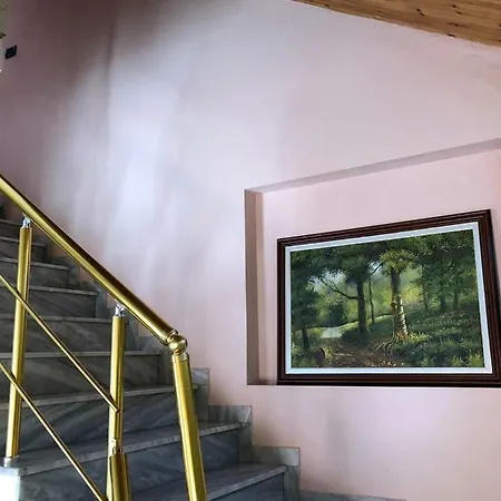 Villa Deni Tushemisht