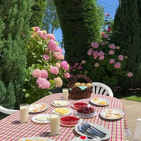 Deni Villa
